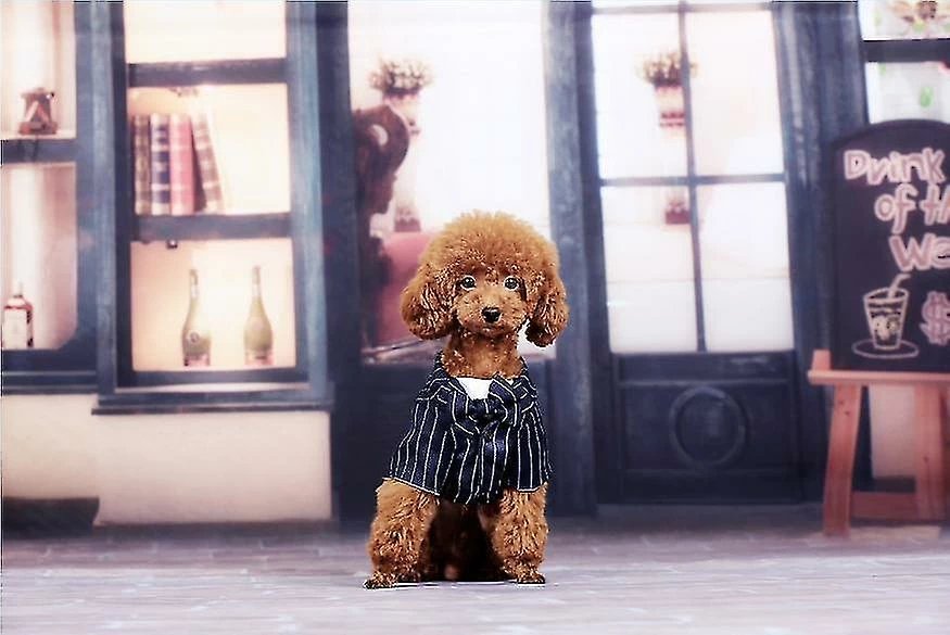 Unbranded Dog Tuxedo Dog Suit, Dogs Tuxedo Wedding Party Suit, Dog Prince Wedding Bow Tie Shirt Tenue Formelle De Mariage Pour Petits Chiens Bulldogs(1 Pack, S) 1 Unbranded Dog Tuxedo Dog Suit, Dogs Tuxedo Wedding Party Suit, Dog Prince Wedding Bow Tie Shirt Tenue Formelle De Mariage Pour Petits Chiens Bulldogs(1 Pack, S)