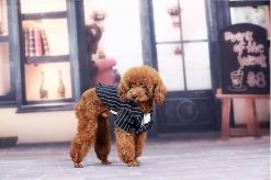 Unbranded Dog Tuxedo Dog Suit, Dogs Tuxedo Wedding Party Suit, Dog Prince Wedding Bow Tie Shirt Tenue Formelle De Mariage Pour Petits Chiens Bulldogs(1 Pack, S) 6 Unbranded Dog Tuxedo Dog Suit, Dogs Tuxedo Wedding Party Suit, Dog Prince Wedding Bow Tie Shirt Tenue Formelle De Mariage Pour Petits Chiens Bulldogs(1 Pack, S) -Pet Soin 596736117 max