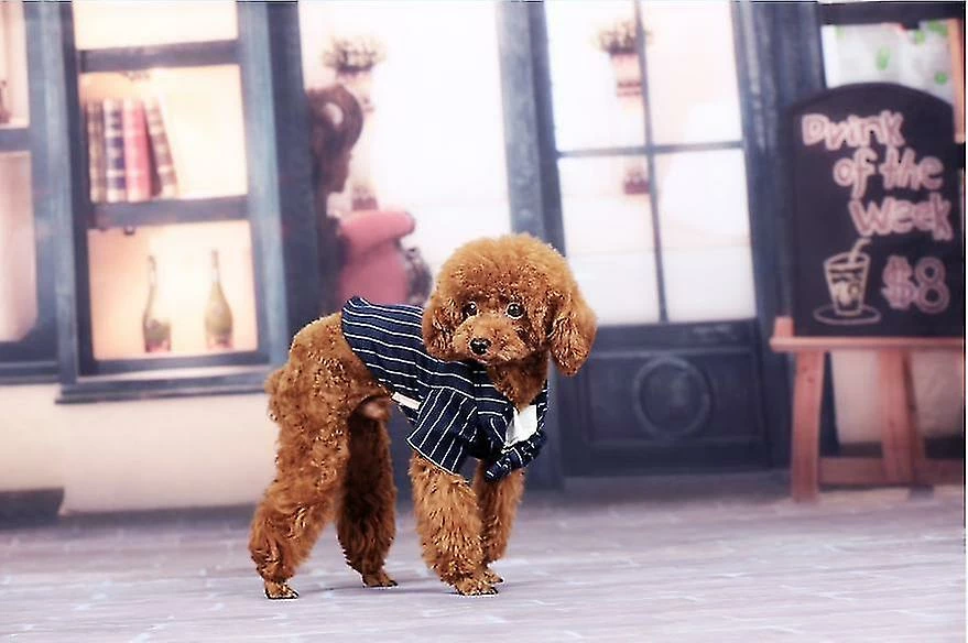 Unbranded Dog Tuxedo Dog Suit, Dogs Tuxedo Wedding Party Suit, Dog Prince Wedding Bow Tie Shirt Tenue Formelle De Mariage Pour Petits Chiens Bulldogs(1 Pack, S) 2 Unbranded Dog Tuxedo Dog Suit, Dogs Tuxedo Wedding Party Suit, Dog Prince Wedding Bow Tie Shirt Tenue Formelle De Mariage Pour Petits Chiens Bulldogs(1 Pack, S) – Image 2