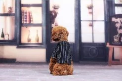 Unbranded Dog Tuxedo Dog Suit, Dogs Tuxedo Wedding Party Suit, Dog Prince Wedding Bow Tie Shirt Tenue Formelle De Mariage Pour Petits Chiens Bulldogs(1 Pack, S) 7 Unbranded Dog Tuxedo Dog Suit, Dogs Tuxedo Wedding Party Suit, Dog Prince Wedding Bow Tie Shirt Tenue Formelle De Mariage Pour Petits Chiens Bulldogs(1 Pack, S) -Pet Soin 596736189 max