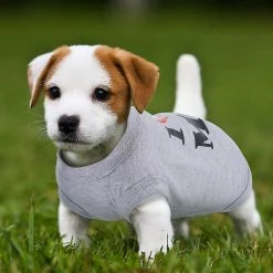 Unbranded 3 Pièces Chien T-shirt Puppy Print Shirt Respirant Pet Clothes Mignon Dog Clothes Sleeveless Dog Vest Dog Cat Summer Clothes (l) -Pet Soin 596736707 max