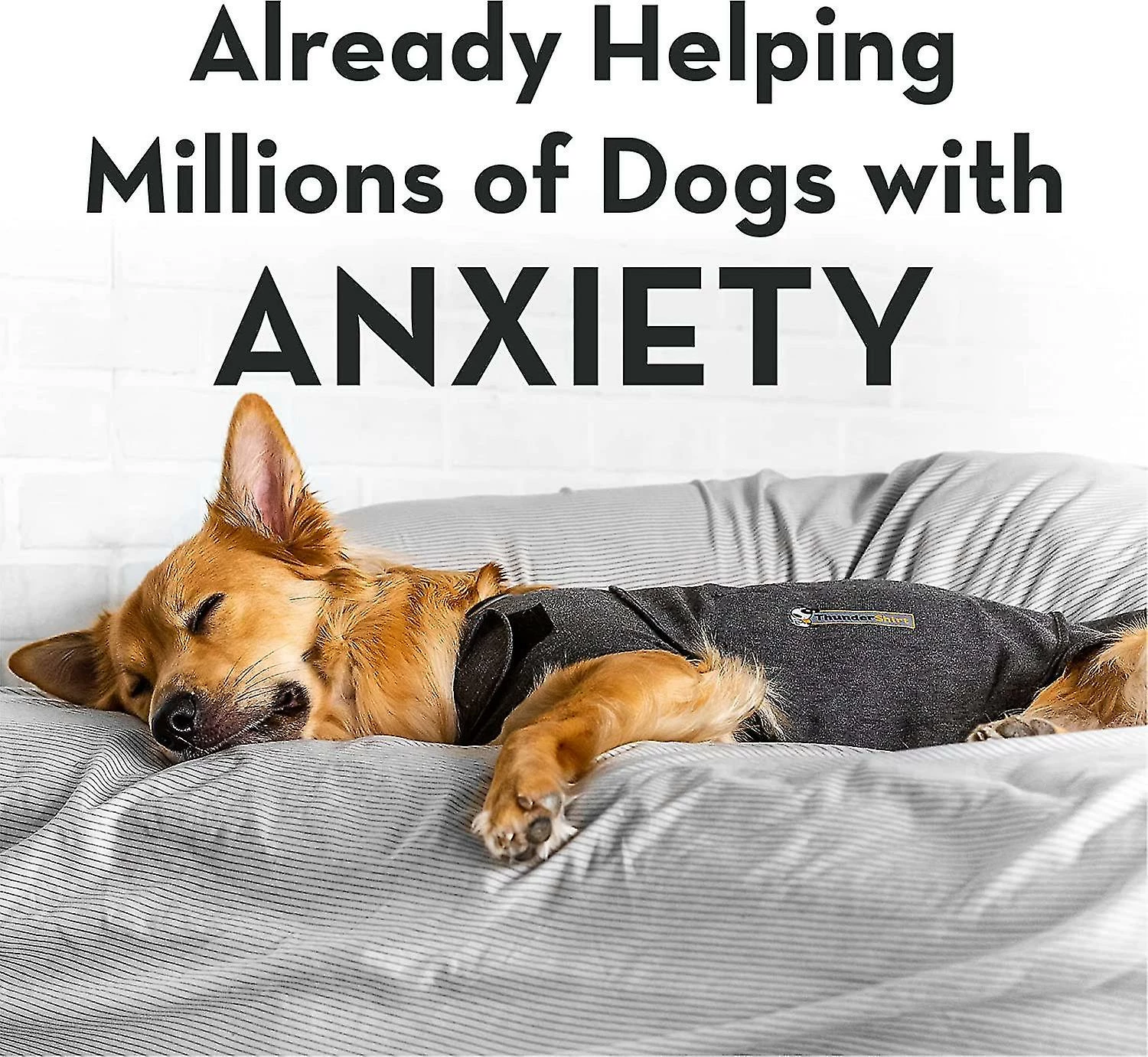 Unbranded Classique Chien Anxiety Jacket Pet Dog Comforter Anxiety Jacket Traitement Médical Emotional Calm Pet Clothes(1 Pack, L) 4 Unbranded Classique Chien Anxiety Jacket Pet Dog Comforter Anxiety Jacket Traitement Médical Emotional Calm Pet Clothes(1 Pack, L) – Image 4