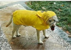 Unbranded Imperméable Pour Animaux De Compagnie Packable Hooded Dog Rain Jacket Reflective Strips Lightweight Adjustable Poncho Pour Petits Chiens Moyens Grands (1 Pack, Jaune, L) -Pet Soin 596737481 max