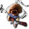 Unbranded Pet Guitare Costumes De Chien Costumes Guitariste Joueur Halloween Noël Cosplay Party Drôle De Chat Vêtements, Fournitures Pour Animaux De Compagnie Costumes Cosplay Halloween Dog Clot