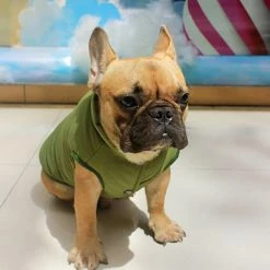 Unbranded Green L Dog Winter Coat Set Dog Warm Jacket Manteau Doublé D’hiver Français Bulldog Karin Dog Dress Vest 8 Unbranded Green L Dog Winter Coat Set Dog Warm Jacket Manteau Doublé D’hiver Français Bulldog Karin Dog Dress Vest -Pet Soin 596739144 max