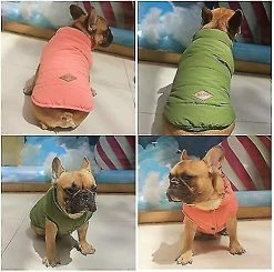 Unbranded Green L Dog Winter Coat Set Dog Warm Jacket Manteau Doublé D’hiver Français Bulldog Karin Dog Dress Vest 9 Unbranded Green L Dog Winter Coat Set Dog Warm Jacket Manteau Doublé D’hiver Français Bulldog Karin Dog Dress Vest -Pet Soin 596739230 max