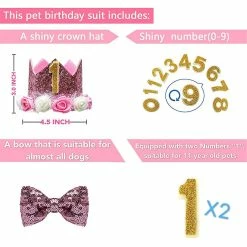 Unbranded Dog Birthday Suit Réglable Crown Hat Bow Tie Avec Numéros Party Supplies 6 Unbranded Dog Birthday Suit Réglable Crown Hat Bow Tie Avec Numéros Party Supplies -Pet Soin 597213661 max