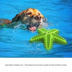 Unbranded Squeaky Pet Chew Toy Resistant Dog Molar Stick Tooth Cleaning Tool 8 Unbranded Squeaky Pet Chew Toy Resistant Dog Molar Stick Tooth Cleaning Tool -Pet Soin 599975312 max