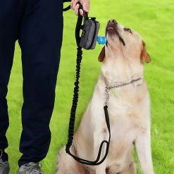 Unbranded Dog Fanny Pack Treat Pouch For Dog Walking Training Built In Poop Bag Dispenser -Pet Soin 600919766 max