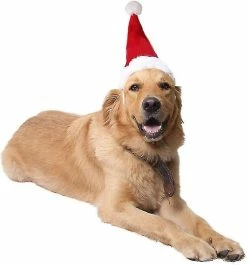 Unbranded Réglable Pet Dog Noël Noël Hat Pour Grands Chiens Moyens Chats Noël Party Dress Up -Pet Soin 603161387 max