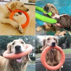 Unbranded 18/27cm Jouets Pour Chiens Eva Anneau De Formation Interactif Puller Résistant Pour Chiens Pet Flying Discs Ring Toy Dog Ring -Pet Soin 603500875 max