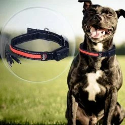 Unbranded Led Lights Dog Collars Night Safety Anti-lost Flashing Nylon Necklace For D -Pet Soin 609742434 max