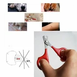 Unbranded Pet Nail Clipper Dog Cat Stainless Steel Durable Easy Use Cutter Puppy Kitt -Pet Soin 609742457 max