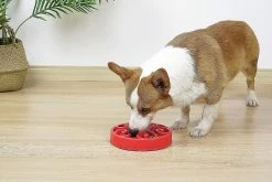 Unbranded Shxx Slow Feeder Dog Bowl, Pet Slow Feeding Plate, Maze Interactive Dog Puzzle, Fun Feeder Expansion Stop Slow Bowl, Non Toxique Et Anti-suffocation, 7 Unbranded Shxx Slow Feeder Dog Bowl, Pet Slow Feeding Plate, Maze Interactive Dog Puzzle, Fun Feeder Expansion Stop Slow Bowl, Non Toxique Et Anti-suffocation, -Pet Soin 610636279 max