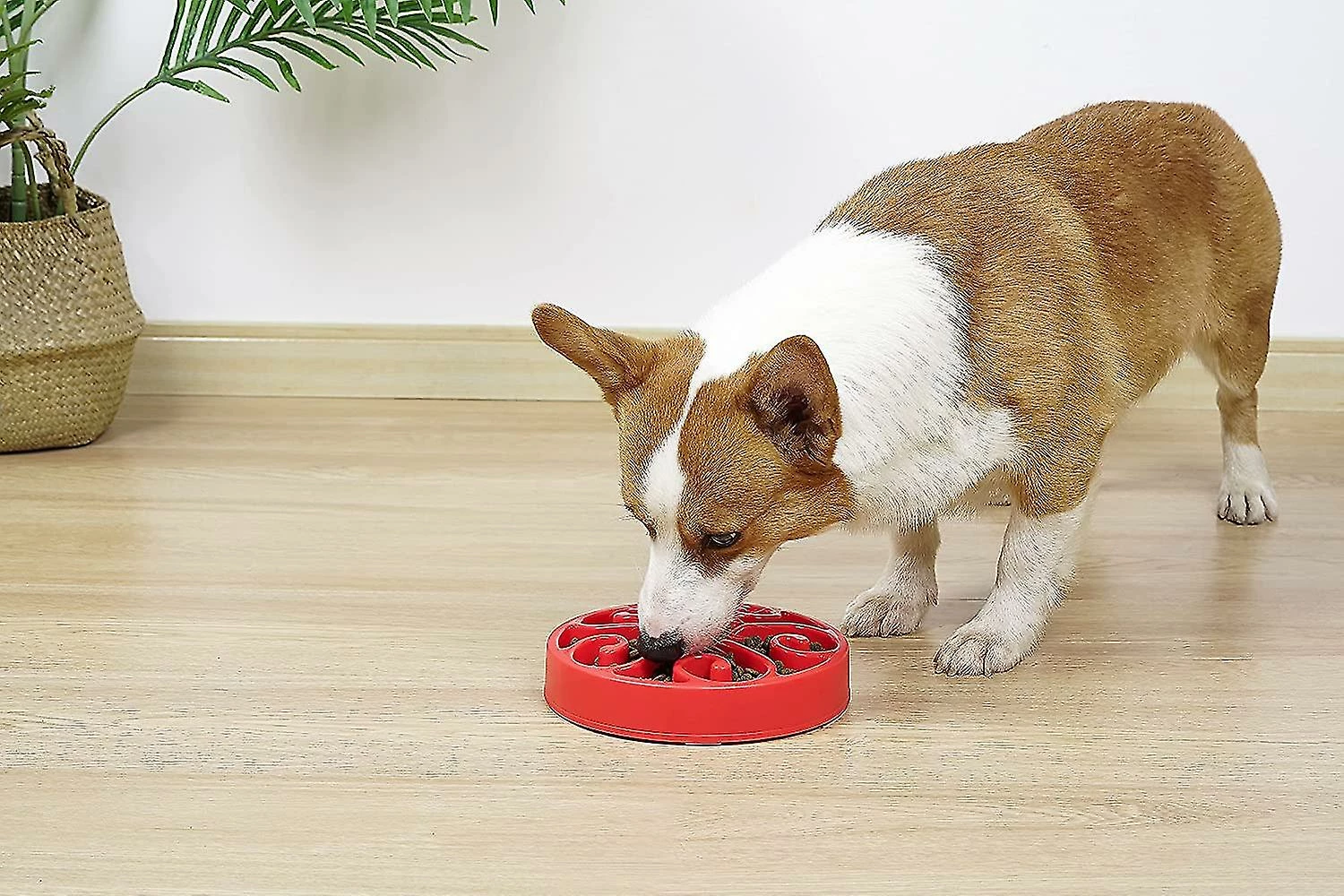 Unbranded Shxx Slow Feeder Dog Bowl, Pet Slow Feeding Plate, Maze Interactive Dog Puzzle, Fun Feeder Expansion Stop Slow Bowl, Non Toxique Et Anti-suffocation, 4 Unbranded Shxx Slow Feeder Dog Bowl, Pet Slow Feeding Plate, Maze Interactive Dog Puzzle, Fun Feeder Expansion Stop Slow Bowl, Non Toxique Et Anti-suffocation, – Image 4