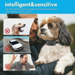 Unbranded Smart Rechargeable Dog Bark Stop Collier Anti Barking Collier -Pet Soin 612045365 max