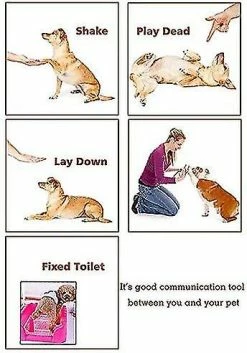 Liangnv Jouets Dog Clicker. Clickers De Dressage D’animaux De Compagnie. Dresseur De Chiens D’obéissance. Durable. Cliqueurs De Chien -Pet Soin 612244904 max