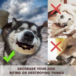 Liangnv Donut Peluche Toy Squeaky Chew Toy Dog Toy Set Pour Petit Et Moyen Puppy Dogs Pets Interact Gift 9 Liangnv Donut Peluche Toy Squeaky Chew Toy Dog Toy Set Pour Petit Et Moyen Puppy Dogs Pets Interact Gift -Pet Soin 612245049 max