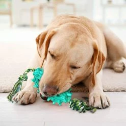 Liangnv Dog Toy.pet Molar Chew Toy.multifonction Pet Molar Toy.dog Interactive Molar Chew Toygift -Pet Soin 612245129 max
