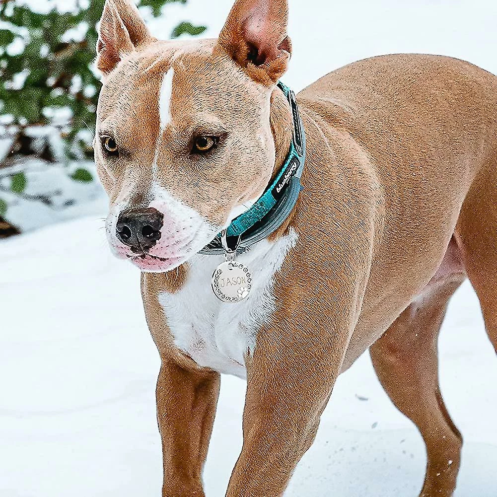 Heytea 2 Pièces De Plaques D’identité Avec Gravure. Adresse Tag Dog Tag Dog Tag Cadeau Personnalisé D’identification D’animal De Compagnie 4 Heytea 2 Pièces De Plaques D’identité Avec Gravure. Adresse Tag Dog Tag Dog Tag Cadeau Personnalisé D’identification D’animal De Compagnie – Image 4