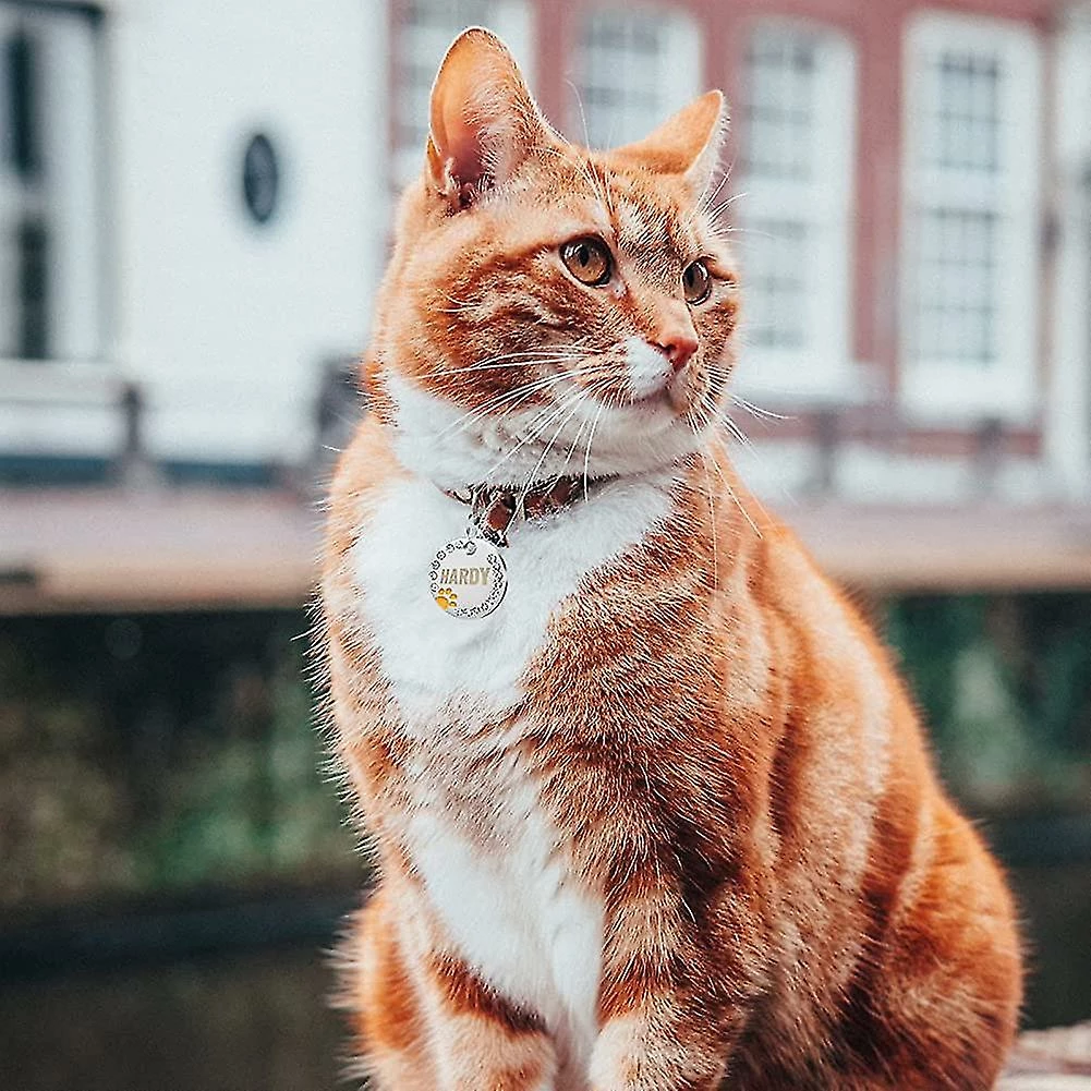 Heytea 2 Pièces De Plaques D’identité Avec Gravure. Adresse Tag Dog Tag Dog Tag Cadeau Personnalisé D’identification D’animal De Compagnie 5 Heytea 2 Pièces De Plaques D’identité Avec Gravure. Adresse Tag Dog Tag Dog Tag Cadeau Personnalisé D’identification D’animal De Compagnie – Image 5