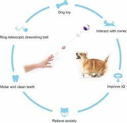 Heytea Multifonction Dog Fetch Toy Pet Suppliy Dog Ball Launcher Avec Télescopique 8 Heytea Multifonction Dog Fetch Toy Pet Suppliy Dog Ball Launcher Avec Télescopique -Pet Soin 612288781 max