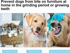 Heytea Multifonction Dog Fetch Toy Pet Suppliy Dog Ball Launcher Avec Télescopique 9 Heytea Multifonction Dog Fetch Toy Pet Suppliy Dog Ball Launcher Avec Télescopique -Pet Soin 612288992 max