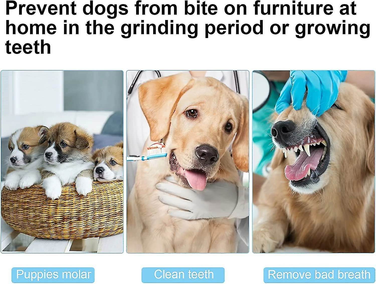 Heytea Multifonction Dog Fetch Toy Pet Suppliy Dog Ball Launcher Avec Télescopique 5 Heytea Multifonction Dog Fetch Toy Pet Suppliy Dog Ball Launcher Avec Télescopique – Image 5