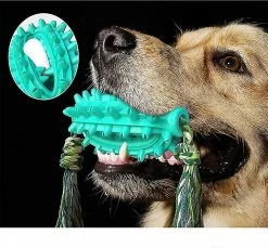 Heytea Dog Toy.pet Molar Chew Toy.multifonction Pet Molar Toy.dog Interactive Molar Chew Toygift -Pet Soin 612289202 max