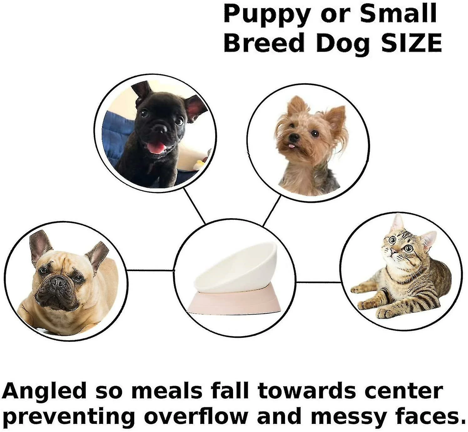 Unbranded Bulldog Anti-slip Dog Cat Bowl, Amovible, Pet Sterile Tilt Pet Feeder Ramp Base, Blanc, 1 Pack 3 Unbranded Bulldog Anti-slip Dog Cat Bowl, Amovible, Pet Sterile Tilt Pet Feeder Ramp Base, Blanc, 1 Pack – Image 3