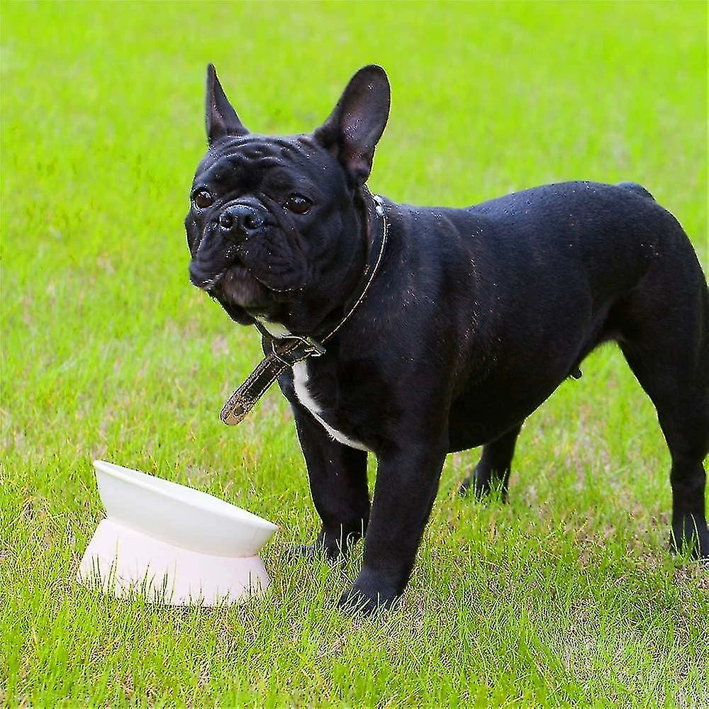 Unbranded Bulldog Anti-slip Dog Cat Bowl, Amovible, Pet Sterile Tilt Pet Feeder Ramp Base, Blanc, 1 Pack 4 Unbranded Bulldog Anti-slip Dog Cat Bowl, Amovible, Pet Sterile Tilt Pet Feeder Ramp Base, Blanc, 1 Pack – Image 4