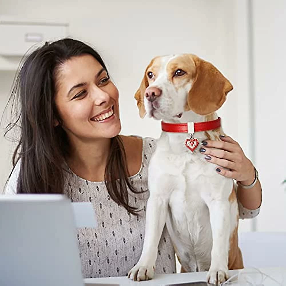 Unbranded Collier Pour Chien Pet Dog Chain Cat Collar Réglable Dog Collar Diamond Flash Dog Collar Dog Abdominal Wound Protection 3 Unbranded Collier Pour Chien Pet Dog Chain Cat Collar Réglable Dog Collar Diamond Flash Dog Collar Dog Abdominal Wound Protection – Image 3