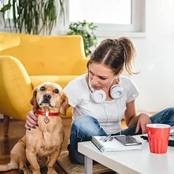 Unbranded Collier Pour Chien Pet Dog Chain Cat Collar Réglable Dog Collar Diamond Flash Dog Collar Dog Abdominal Wound Protection 7 Unbranded Collier Pour Chien Pet Dog Chain Cat Collar Réglable Dog Collar Diamond Flash Dog Collar Dog Abdominal Wound Protection -Pet Soin 620421665 max