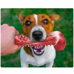 Unbranded Fournitures Pour Animaux De Compagnie Molar Stick Dog Chew Toy Tooth Cleaning Bone Shape Dog Toothbrush 6 Unbranded Fournitures Pour Animaux De Compagnie Molar Stick Dog Chew Toy Tooth Cleaning Bone Shape Dog Toothbrush -Pet Soin 620422275 max