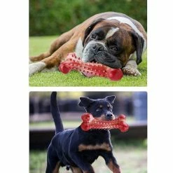 Unbranded Fournitures Pour Animaux De Compagnie Molar Stick Dog Chew Toy Tooth Cleaning Bone Shape Dog Toothbrush 7 Unbranded Fournitures Pour Animaux De Compagnie Molar Stick Dog Chew Toy Tooth Cleaning Bone Shape Dog Toothbrush -Pet Soin 620422430 max