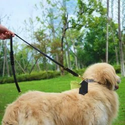 Unbranded Dog Poop Bag Holder Purse Waste Bag Dispenser Attaches à Leash For Walking 7 Unbranded Dog Poop Bag Holder Purse Waste Bag Dispenser Attaches à Leash For Walking -Pet Soin 621133177 max