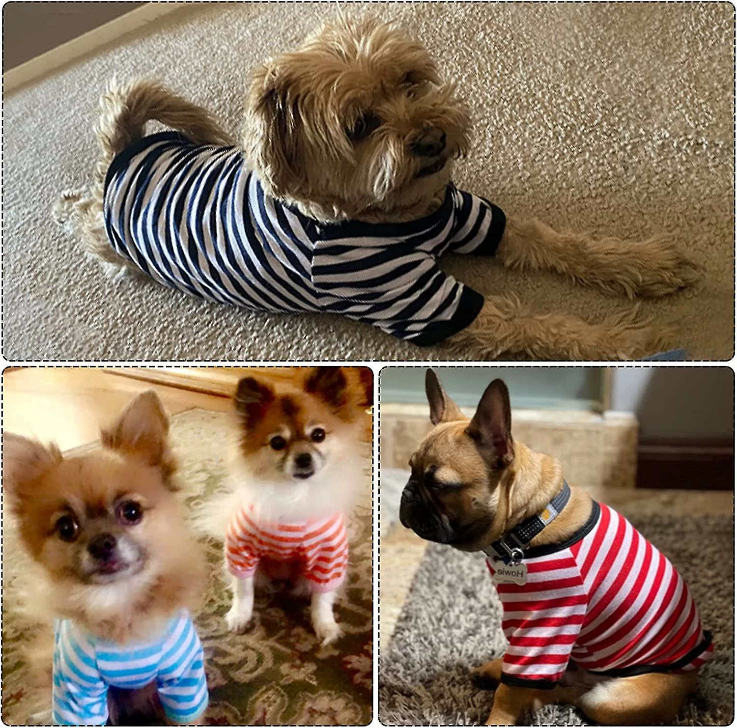 Giveuphesit 6 Pièces Chien Rayé T-shirt Chien Chemise Respirant Pet Apparel Coloré Puppy Sweatshirt Dog Vêtements Pour Chiens Petits à Moyens Chiot 2 Giveuphesit 6 Pièces Chien Rayé T-shirt Chien Chemise Respirant Pet Apparel Coloré Puppy Sweatshirt Dog Vêtements Pour Chiens Petits à Moyens Chiot – Image 2
