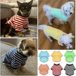 Giveuphesit 6 Pièces Chien Rayé T-shirt Chien Chemise Respirant Pet Apparel Coloré Puppy Sweatshirt Dog Vêtements Pour Chiens Petits à Moyens Chiot 7 Giveuphesit 6 Pièces Chien Rayé T-shirt Chien Chemise Respirant Pet Apparel Coloré Puppy Sweatshirt Dog Vêtements Pour Chiens Petits à Moyens Chiot -Pet Soin 627808362 max
