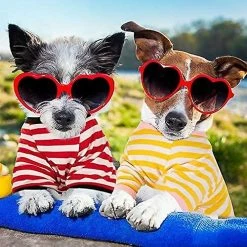 Giveuphesit 6 Pièces Chien Rayé T-shirt Chien Chemise Respirant Pet Apparel Coloré Puppy Sweatshirt Dog Vêtements Pour Chiens Petits à Moyens Chiot 9 Giveuphesit 6 Pièces Chien Rayé T-shirt Chien Chemise Respirant Pet Apparel Coloré Puppy Sweatshirt Dog Vêtements Pour Chiens Petits à Moyens Chiot -Pet Soin 627808605 max