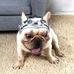 Unbranded Dog Puppy Retro Pilot Black Cap Avec Trous D’oreille Chapeau Réglable Pet Party Supplies Qinhai 7 Unbranded Dog Puppy Retro Pilot Black Cap Avec Trous D’oreille Chapeau Réglable Pet Party Supplies Qinhai -Pet Soin 630000455 max