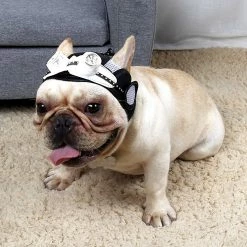 Unbranded Dog Puppy Retro Pilot Black Cap Avec Trous D’oreille Chapeau Réglable Pet Party Supplies Qinhai 8 Unbranded Dog Puppy Retro Pilot Black Cap Avec Trous D’oreille Chapeau Réglable Pet Party Supplies Qinhai -Pet Soin 630000456 max