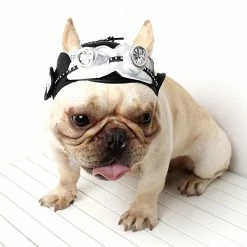 Unbranded Dog Puppy Retro Pilot Black Cap Avec Trous D’oreille Chapeau Réglable Pet Party Supplies Qinhai 9 Unbranded Dog Puppy Retro Pilot Black Cap Avec Trous D’oreille Chapeau Réglable Pet Party Supplies Qinhai -Pet Soin 630000457 max