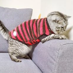 Unbranded Automne Hiver Chaud Rayé Deux Pattes Élastique Bottoming Chemise Pet Dog Clothes Qinhai -Pet Soin 630001201 max