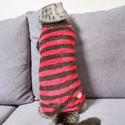 Unbranded Automne Hiver Chaud Rayé Deux Pattes Élastique Bottoming Chemise Pet Dog Clothes Qinhai -Pet Soin 630001203 max