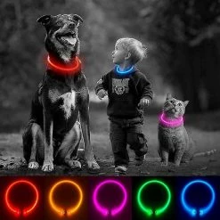 Wonderful Wow Jaune 70cm Led Dog Collar Lit Dog Collar Rechargeable Waterproof Pet Collar Peut être Coupé à Light Dog Collar Pet 9 Wonderful Wow Jaune 70cm Led Dog Collar Lit Dog Collar Rechargeable Waterproof Pet Collar Peut être Coupé à Light Dog Collar Pet -Pet Soin 631582714 max