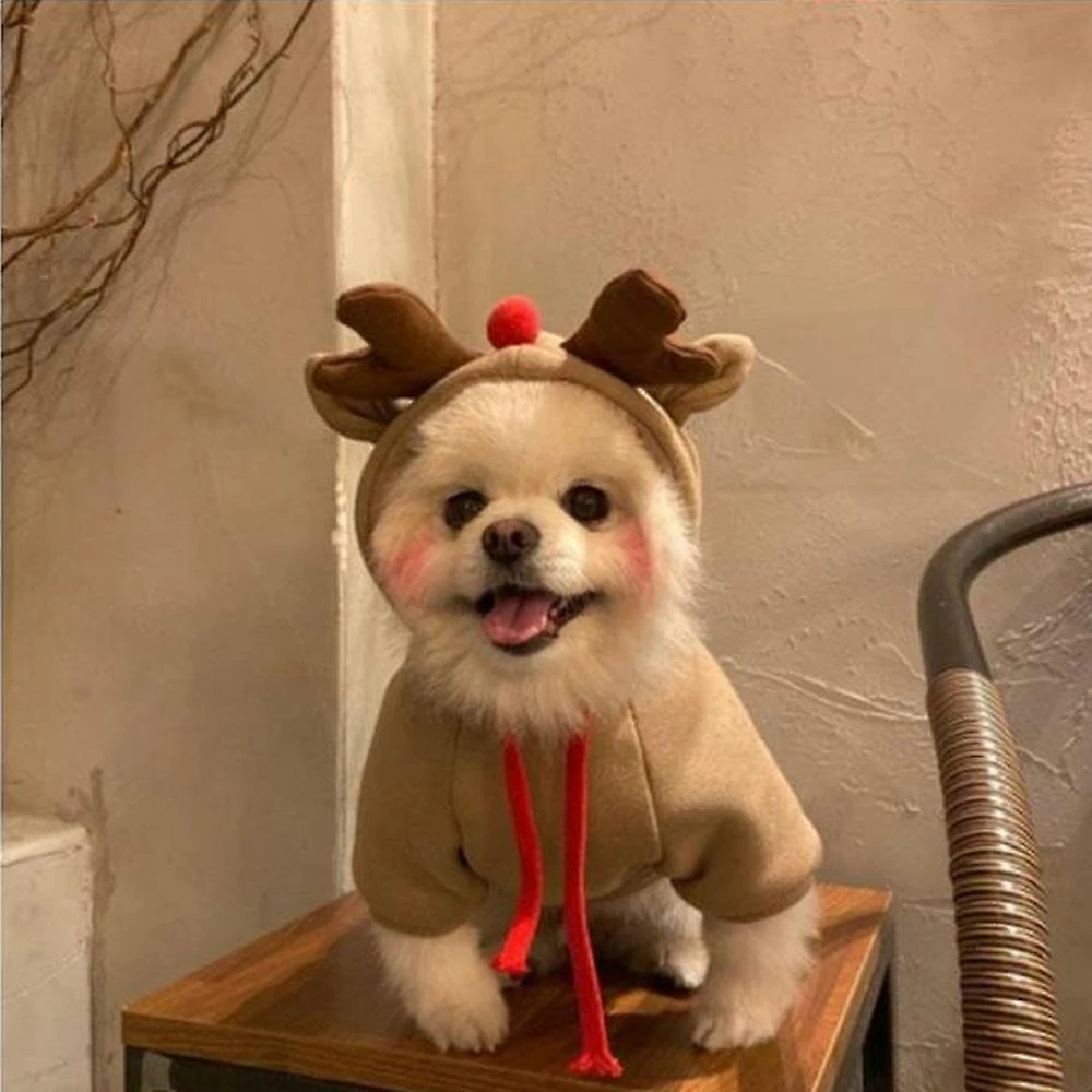 Wonderful Wow Xl Dog Cat Costume De Noël, Robe Drôle D’animal De Compagnie, Tenues De Chiot Vêtements De Noël Vêtements 5 Wonderful Wow Xl Dog Cat Costume De Noël, Robe Drôle D’animal De Compagnie, Tenues De Chiot Vêtements De Noël Vêtements – Image 5