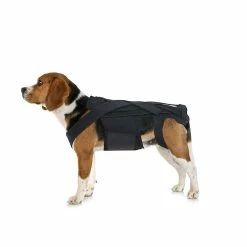 Unbranded Dog Back Brace Pour Ivdd, Pet Dog Back Brace Comfortable Full Body Harness Dog Clothing Dog Back Prot 6 Unbranded Dog Back Brace Pour Ivdd, Pet Dog Back Brace Comfortable Full Body Harness Dog Clothing Dog Back Prot -Pet Soin 632059541 max