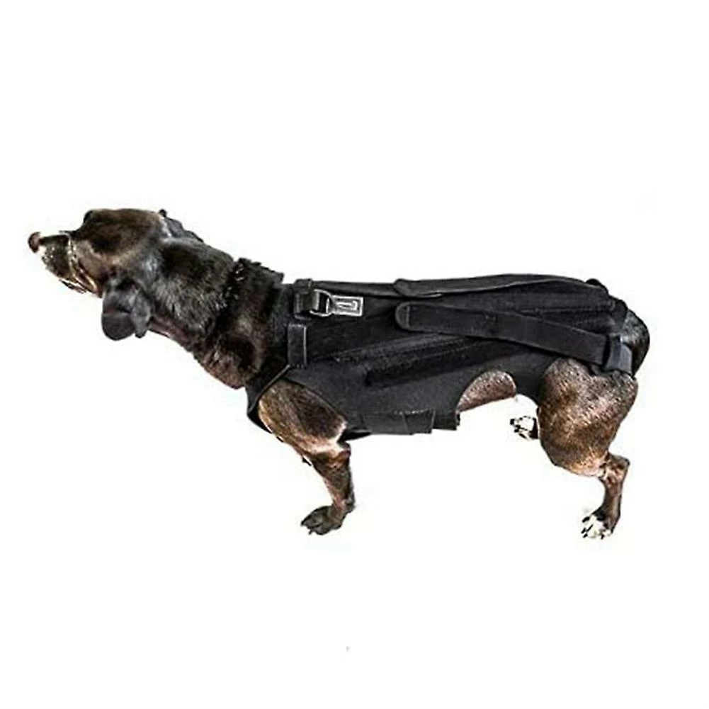 Unbranded Dog Back Brace Pour Ivdd, Pet Dog Back Brace Comfortable Full Body Harness Dog Clothing Dog Back Prot 3 Unbranded Dog Back Brace Pour Ivdd, Pet Dog Back Brace Comfortable Full Body Harness Dog Clothing Dog Back Prot – Image 3