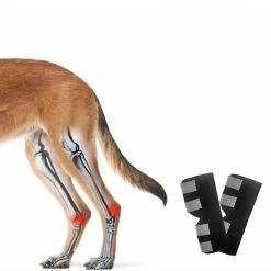 Unbranded Mimigo Dog Rear Leg Brace Version Longue Jarret Canin Enveloppe Avec Sangles Réfléchissantes De Sécurité Pour La Protection Contre Les Blessures Et Les Entorses, La Cicatrisation Des Plaies Et La Perte De Sta -Pet Soin 636906558 max