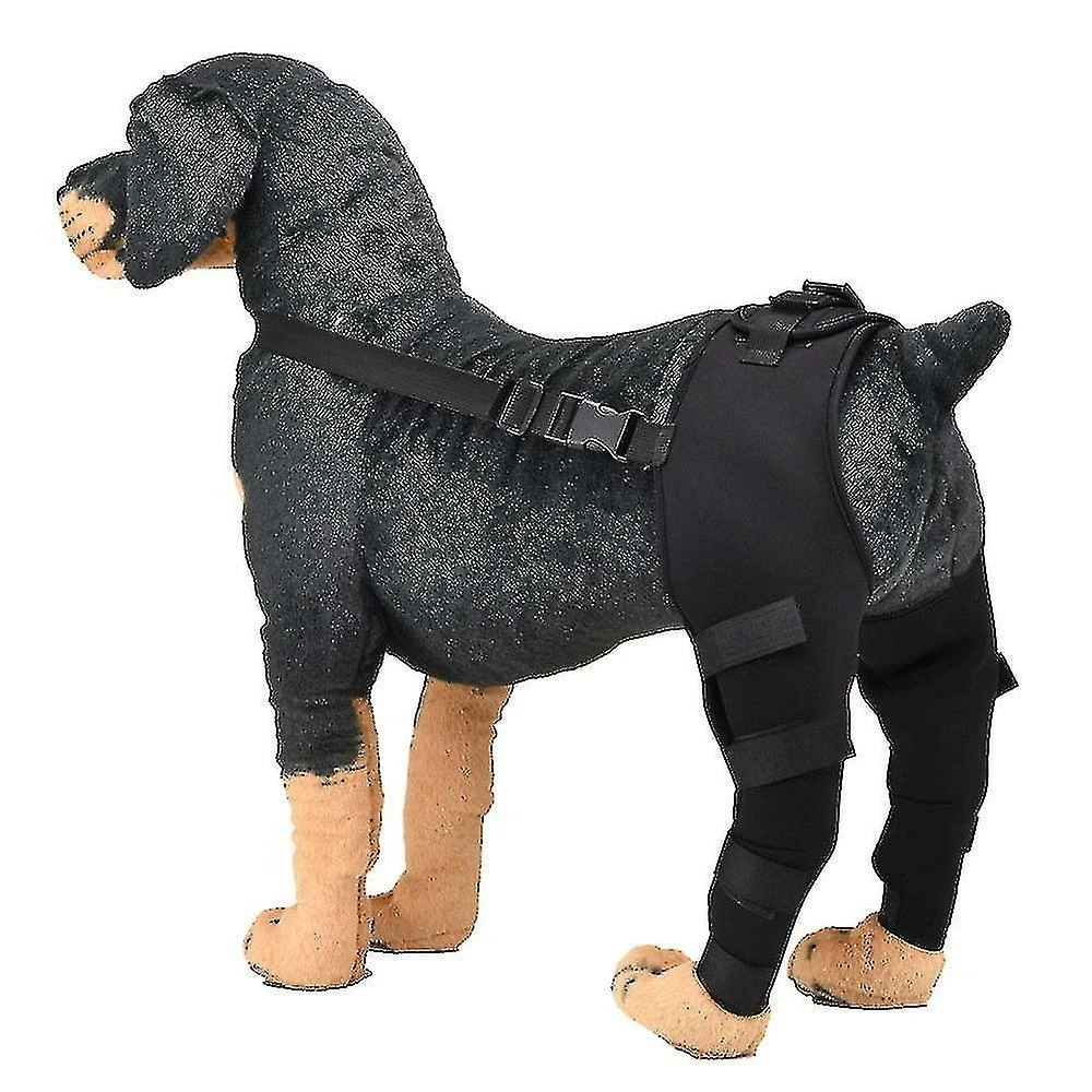 Loffity Dog Elbow Brace Protector Pads Pet Dog Hind Legs Protector Réglable Dogs Knee Brace Leg Support Xs Blue 4 Loffity Dog Elbow Brace Protector Pads Pet Dog Hind Legs Protector Réglable Dogs Knee Brace Leg Support Xs Blue – Image 4